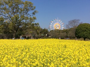 写真 2016-03-20 14 51 43