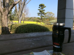 写真 2016-03-20 14 58 22