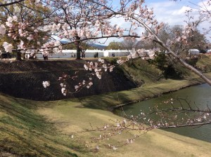 Photo 3-24-16, 14 09 40