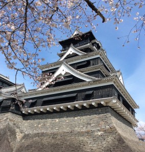 Photo 3-24-16, 14 21 37 (1)